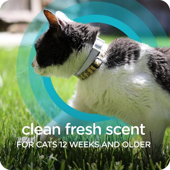 New Guardian Pro Flea and Tick Collar for Cats 1 Count Long Lasting Protection - Picture 6 of 14